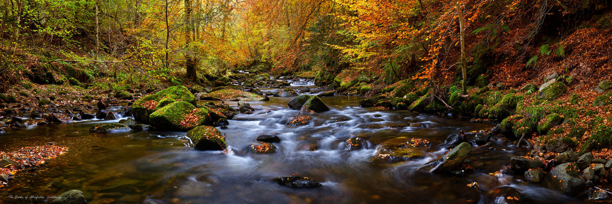 Birks of Aberfeldy at Aberfeldy, Central, Scotland — a photography location from The Photos book series