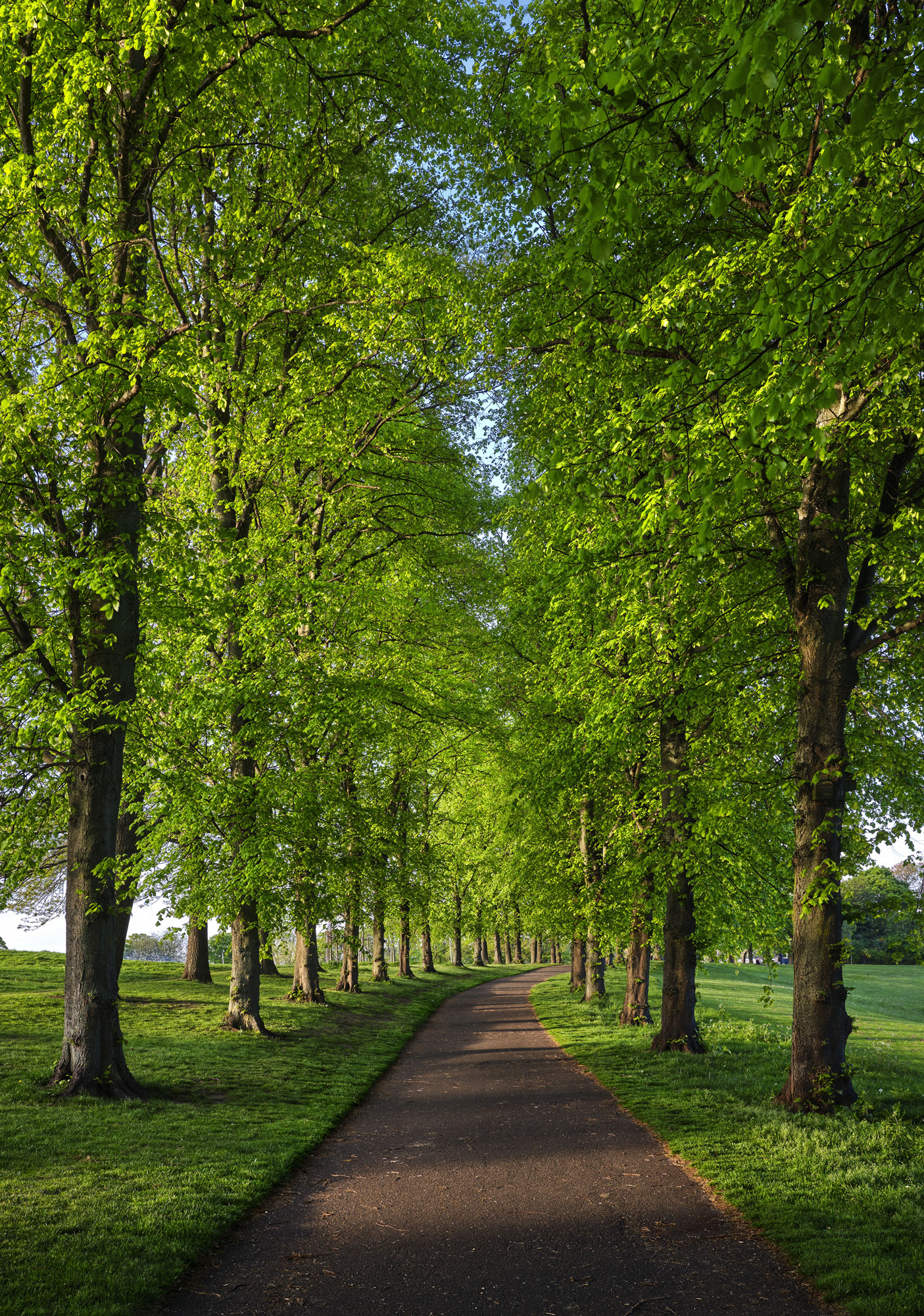 Inverleith Spring at Edinburgh, South East, Scotland — a photography location from The Photos book series