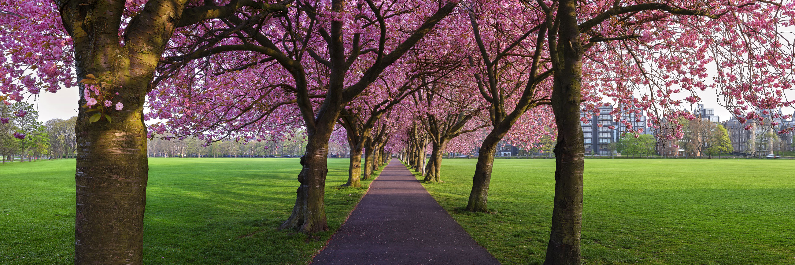 Coronation Walk at Edinburgh, South East, Scotland — a photography location from The Photos book series