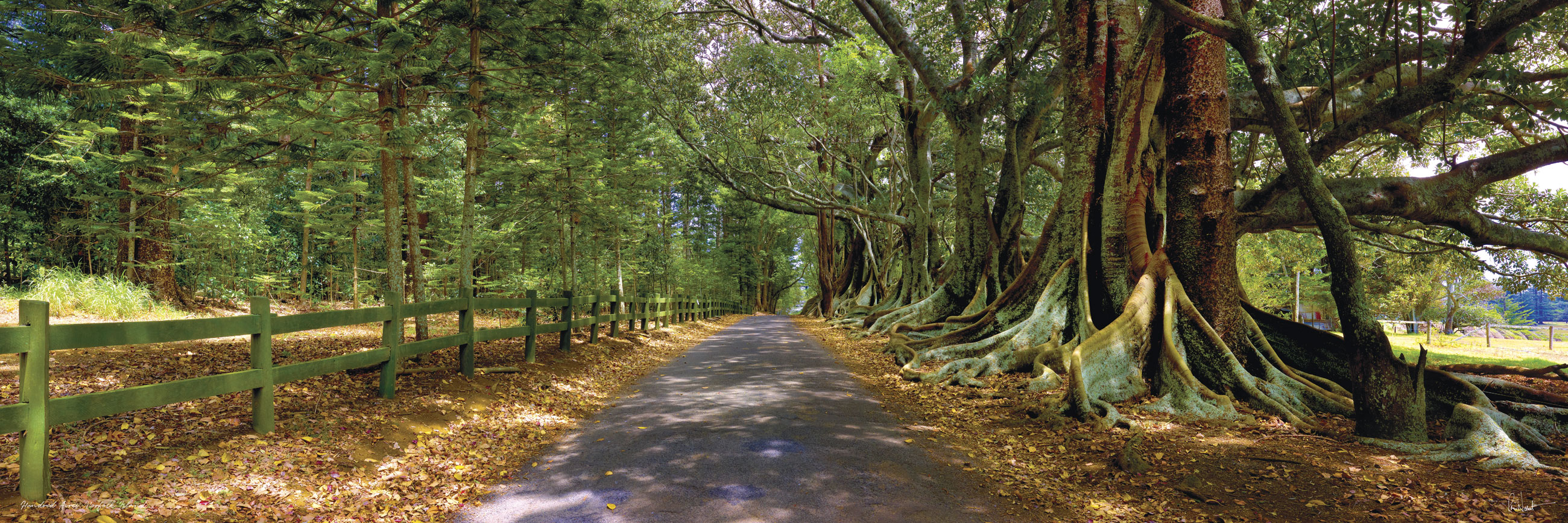 Hundred Acres at Headstone, undefined, Norfolk Island — a photography location from The Photos book series